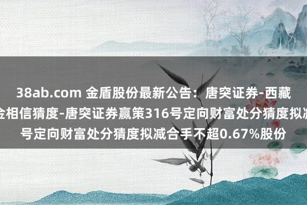 38ab.com 金盾股份最新公告：唐突证券-西藏相信-浦顺5号讨好资金相信猜度-唐突证券赢策316号定向财富处分猜度拟减合手不超0.67%股份