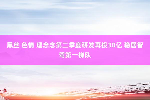 黑丝 色情 理念念第二季度研发再投30亿 稳居智驾第一梯队