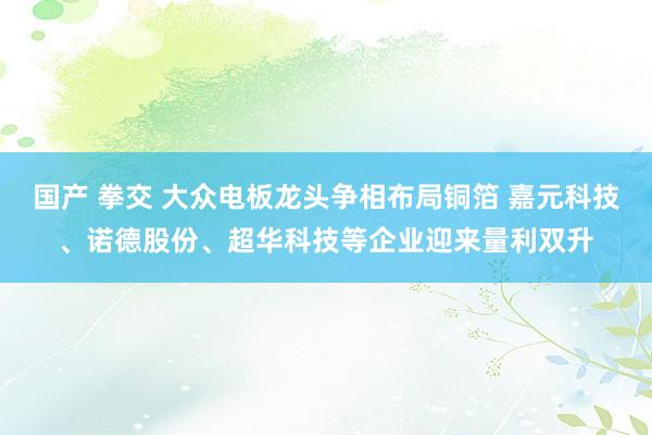 国产 拳交 大众电板龙头争相布局铜箔 嘉元科技、诺德股份、超华科技等企业迎来量利双升