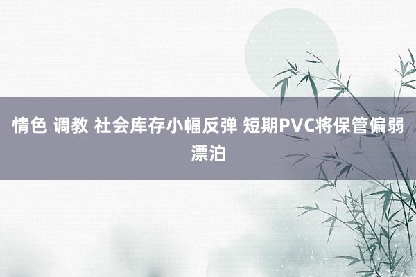 情色 调教 社会库存小幅反弹 短期PVC将保管偏弱漂泊