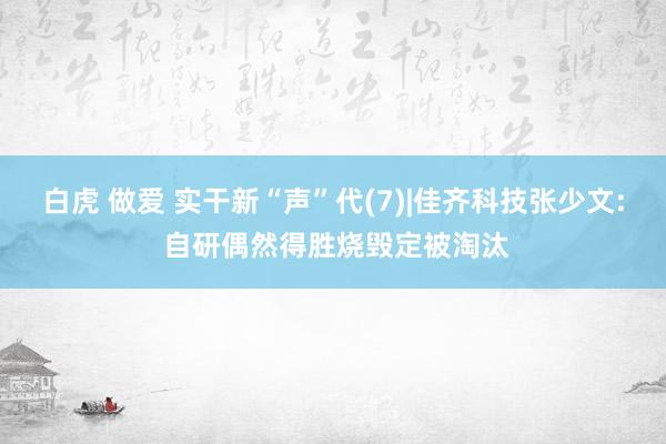 白虎 做爱 实干新“声”代(7)|佳齐科技张少文: 自研偶然得胜烧毁定被淘汰