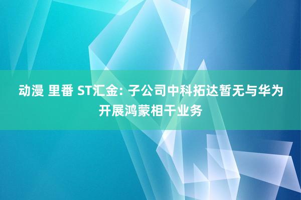 动漫 里番 ST汇金: 子公司中科拓达暂无与华为开展鸿蒙相干业务