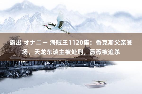 露出 オナニー 海贼王1120集：香克斯父亲登场，天龙东谈主被处刑，薇薇被追杀