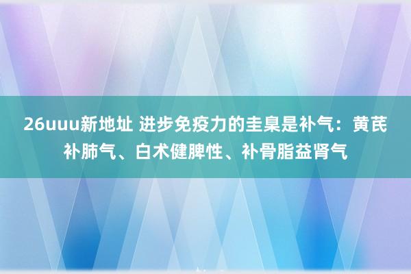 26uuu新地址 进步免疫力的圭臬是补气：黄芪补肺气、白术健脾性、补骨脂益肾气