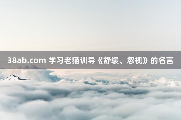 38ab.com 学习老猫训导《舒缓、忽视》的名言