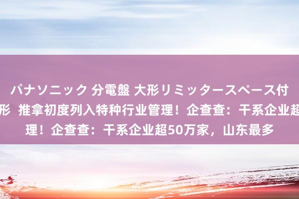 パナソニック 分電盤 大形リミッタースペース付 露出・半埋込両用形  推拿初度列入特种行业管理！企查查：干系企业超50万家，山东最多