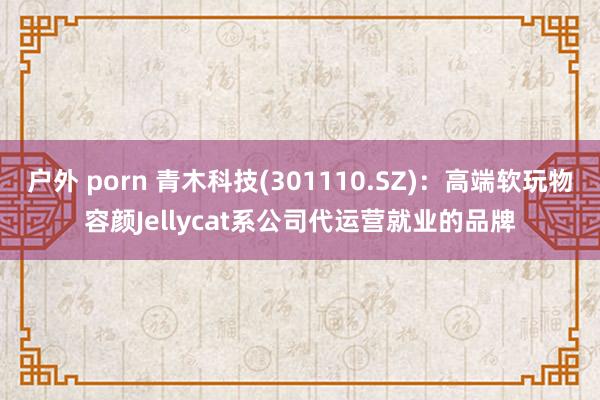 户外 porn 青木科技(301110.SZ)：高端软玩物容颜Jellycat系公司代运营就业的品牌