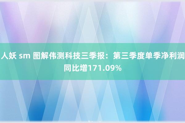 人妖 sm 图解伟测科技三季报：第三季度单季净利润同比增171.09%