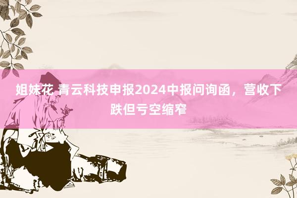 姐妹花 青云科技申报2024中报问询函，营收下跌但亏空缩窄