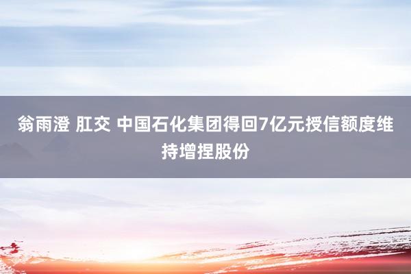 翁雨澄 肛交 中国石化集团得回7亿元授信额度维持增捏股份