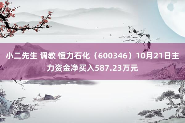 小二先生 调教 恒力石化（600346）10月21日主力资金净买入587.23万元