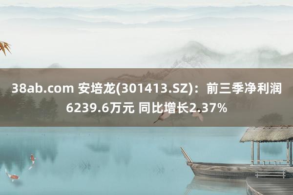 38ab.com 安培龙(301413.SZ)：前三季净利润6239.6万元 同比增长2.37%