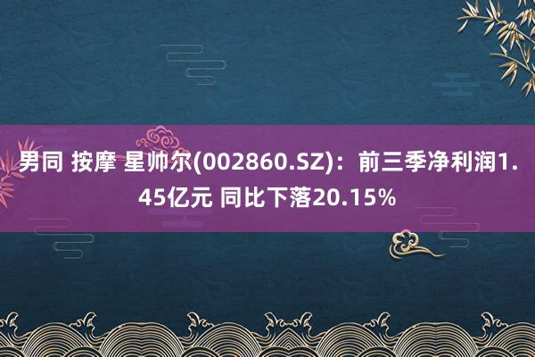 男同 按摩 星帅尔(002860.SZ)：前三季净利润1.45亿元 同比下落20.15%