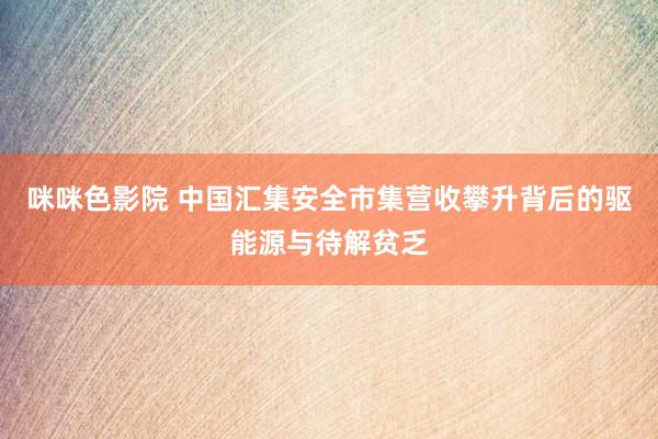 咪咪色影院 中国汇集安全市集营收攀升背后的驱能源与待解贫乏