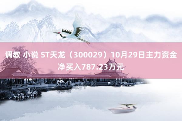 调教 小说 ST天龙（300029）10月29日主力资金净买入787.23万元