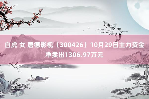 白虎 女 唐德影视（300426）10月29日主力资金净卖出1306.97万元