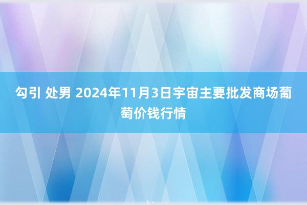 勾引 处男 2024年11月3日宇宙主要批发商场葡萄价钱行情