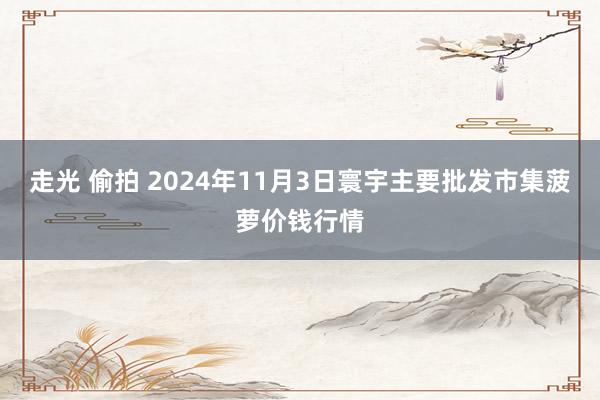 走光 偷拍 2024年11月3日寰宇主要批发市集菠萝价钱行情