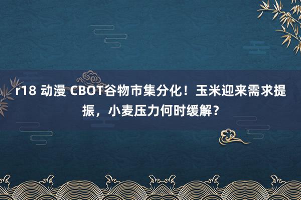 r18 动漫 CBOT谷物市集分化！玉米迎来需求提振，小麦压力何时缓解？