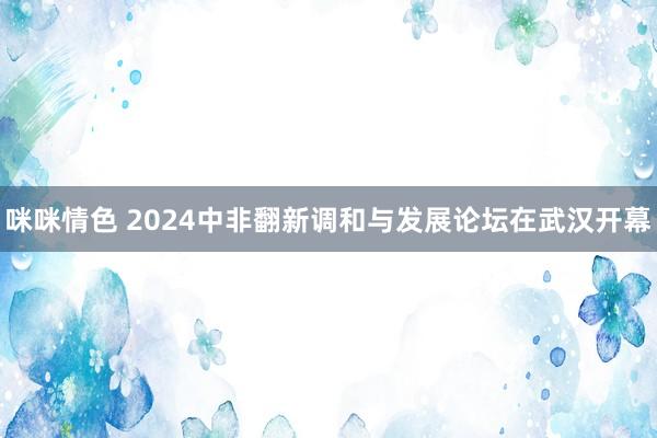 咪咪情色 2024中非翻新调和与发展论坛在武汉开幕