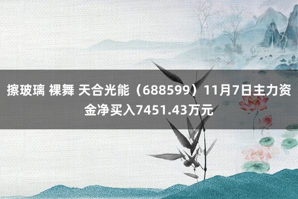 擦玻璃 裸舞 天合光能（688599）11月7日主力资金净买入7451.43万元