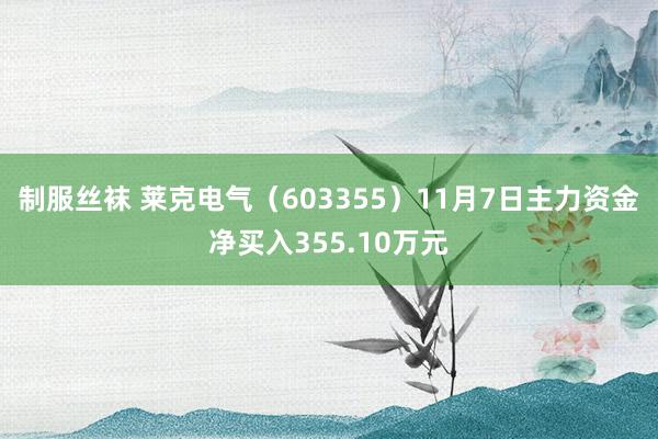 制服丝袜 莱克电气（603355）11月7日主力资金净买入355.10万元