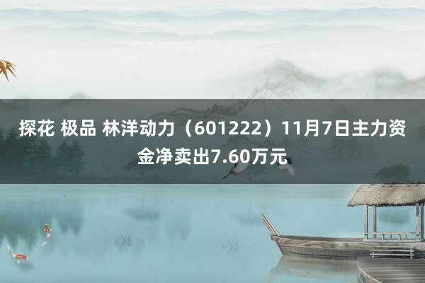 探花 极品 林洋动力（601222）11月7日主力资金净卖出7.60万元